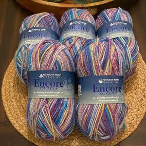 New Plymouth Yarn Company Encore Colorspun knitting worsted weight yarn bundle